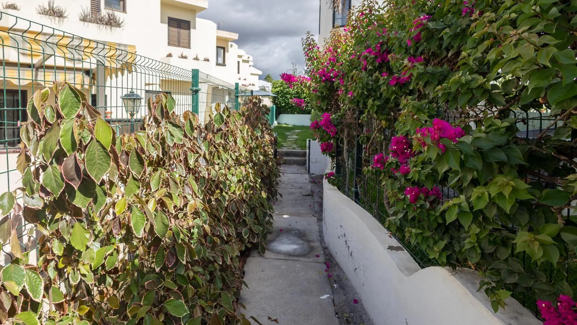 Semesterbostad 3Br House - Parking - Pool - 15 Min Walk To Beach Mogán